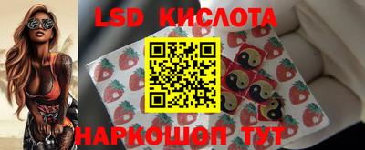 дживик Донской