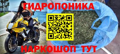 PSILOCYBIN Дубна